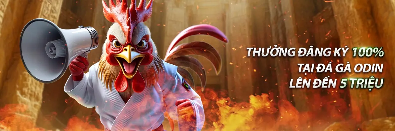 Giao diện cá cược thể thao trực tiếp tại truc tiep thôm với các tỷ lệ cược và trận đấu đang diễn ra sôi động.